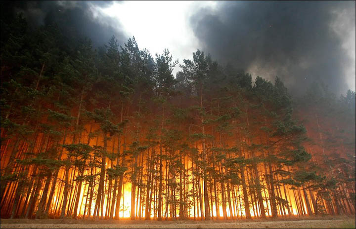 fire in siberia