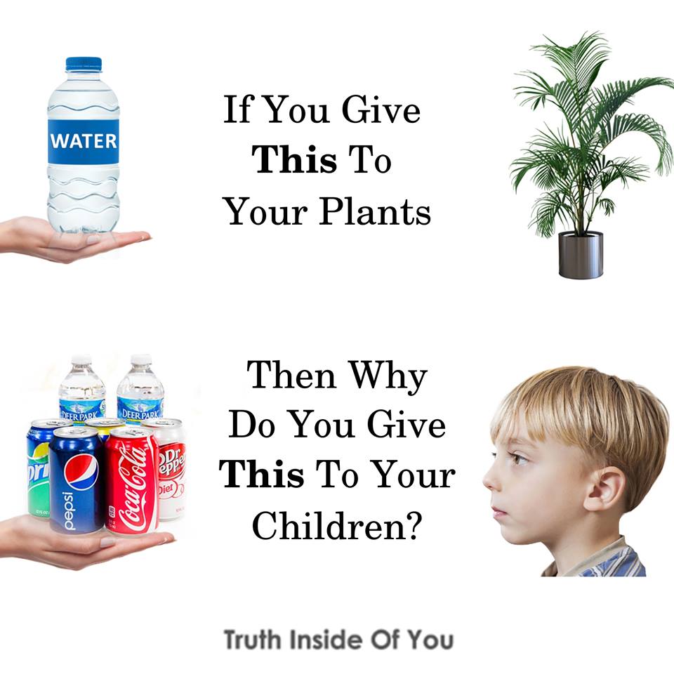 plants need water