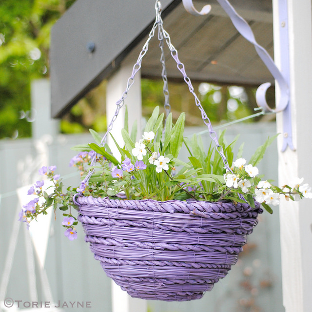 choose your favorite color and spray paint the hanging baskets