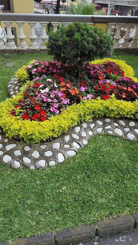 flower bed