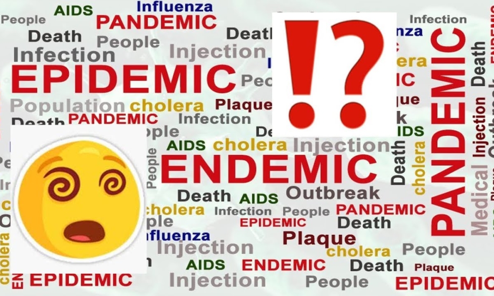 Pandemic Epidemic Which Is The Difference Fancy Life Corner biologyexams4u-videos