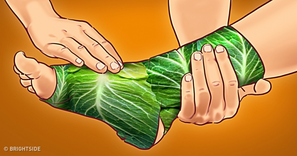 cabbage leaves