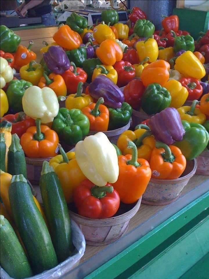 colorful pepper